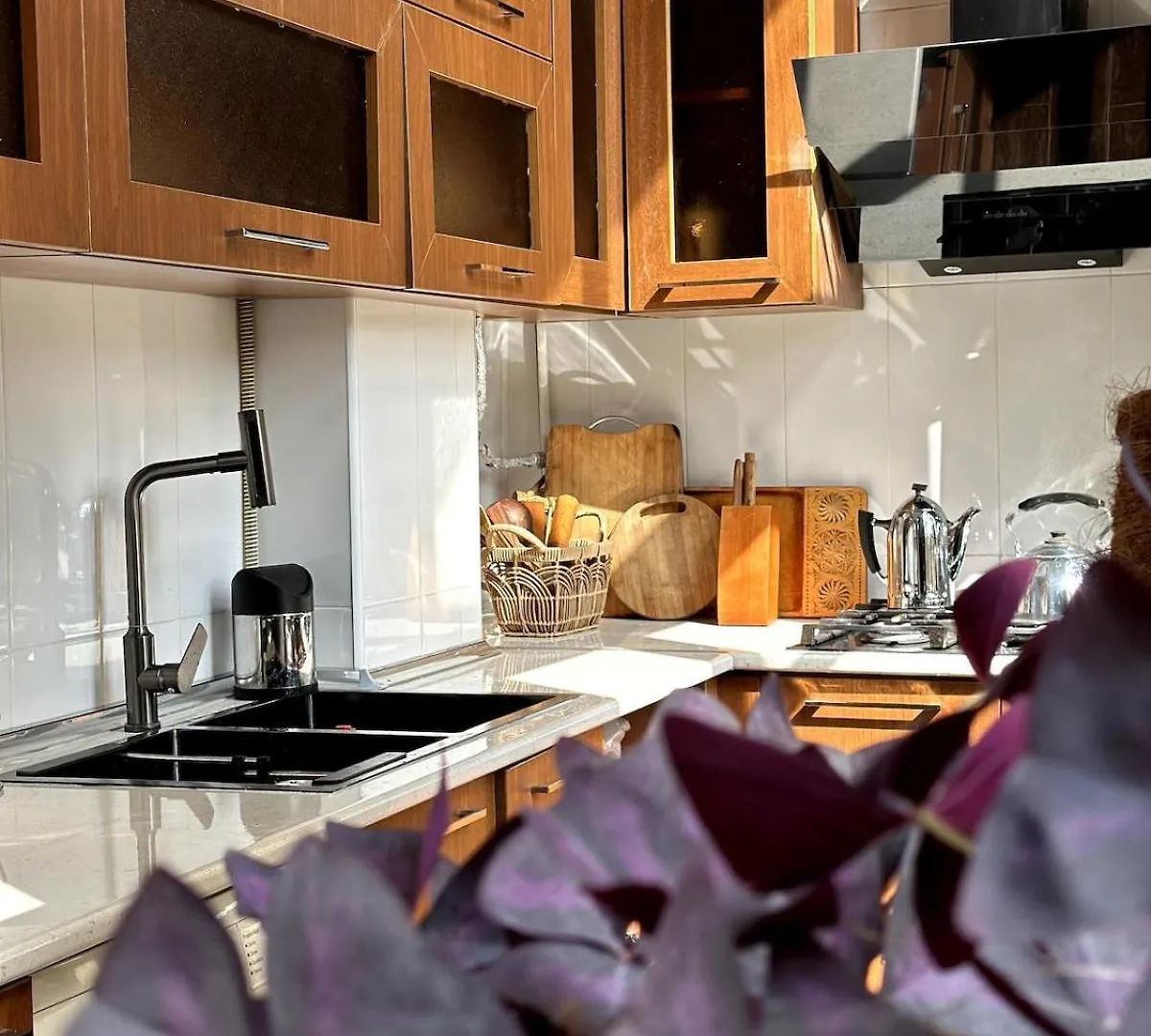 Cozy Heritage Apartment Baku 0*,